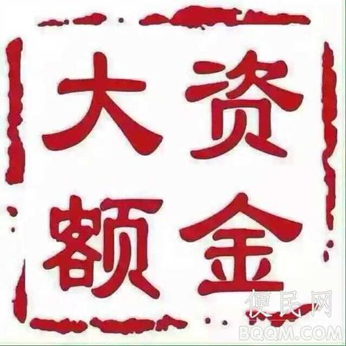 商國互聯(lián)首頁 供應(yīng)信息 品 牌:個(gè)人擺賬 顯賬 增資 墊資 資金證明