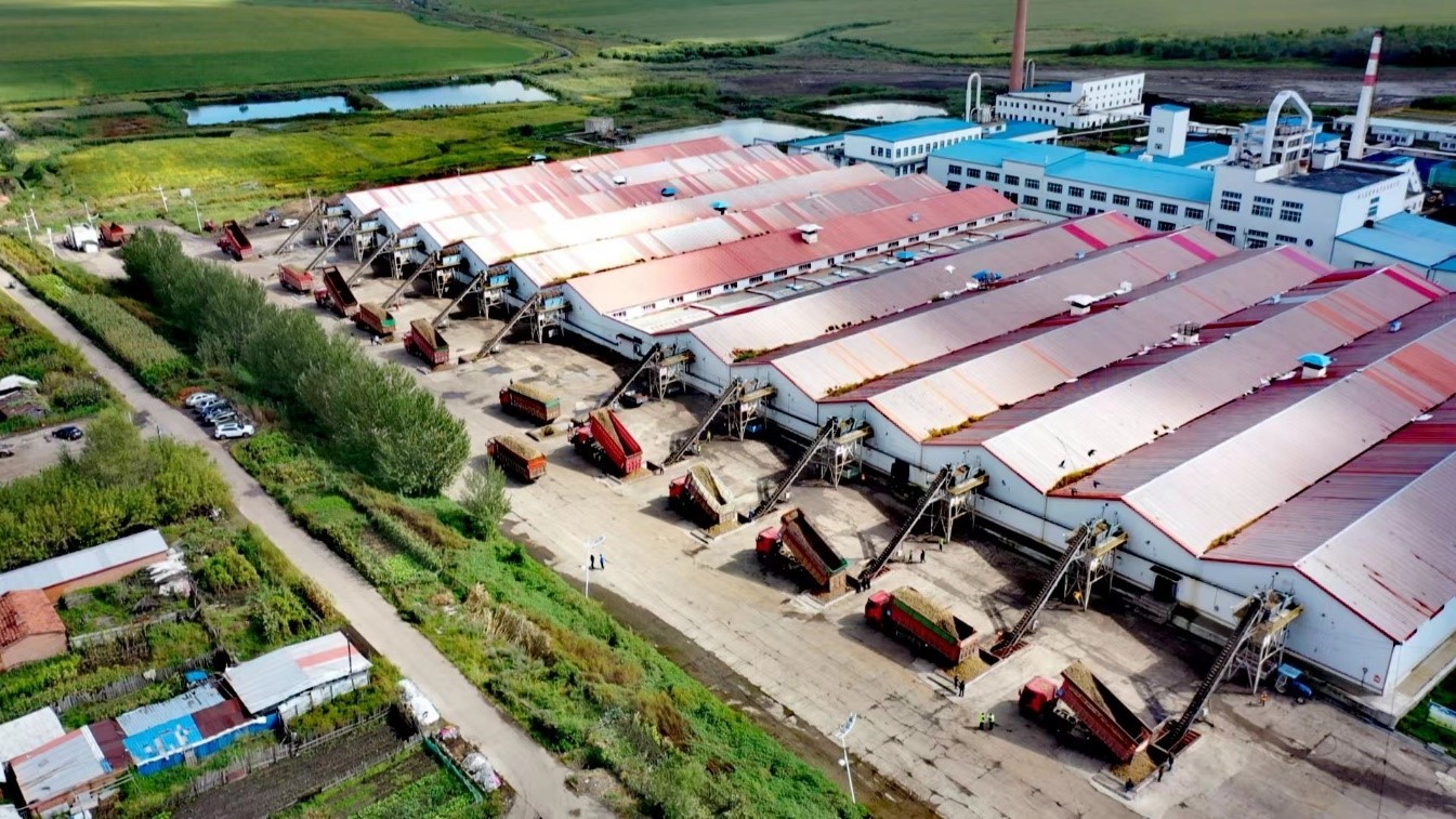 一線觀察|土豆逆襲,這里為何&ldquo;薯&rdquo;光獨(dú)好?