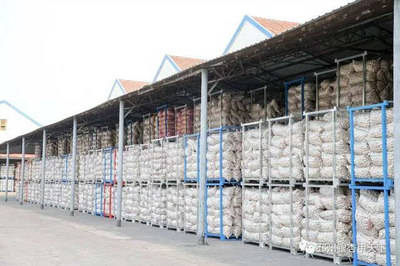 一棵樹、一塊板、一頭蒜,邳州現代農業這篇文章大有所為-財經頻道-手機